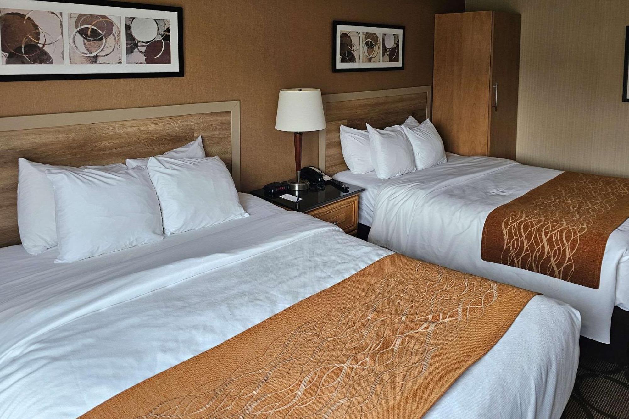 Mini-hôtel Comfort